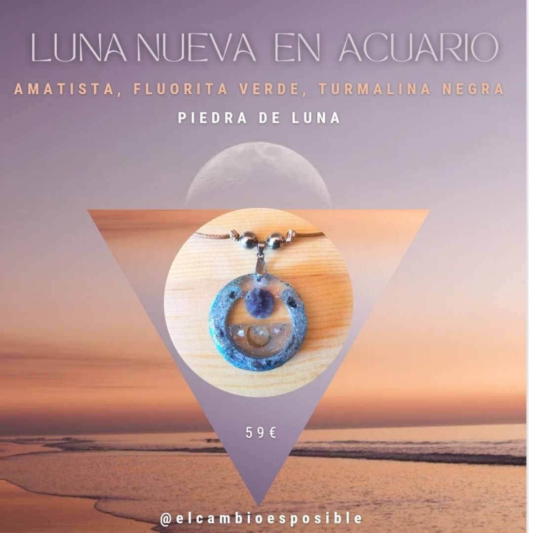 luna nueva acuario